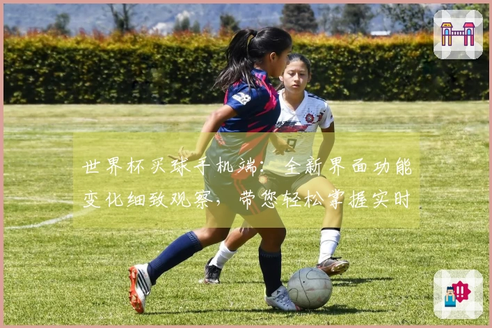 世界杯买球手机端：全新界面功能变化细致观察，带您轻松掌握实时观赛新体验