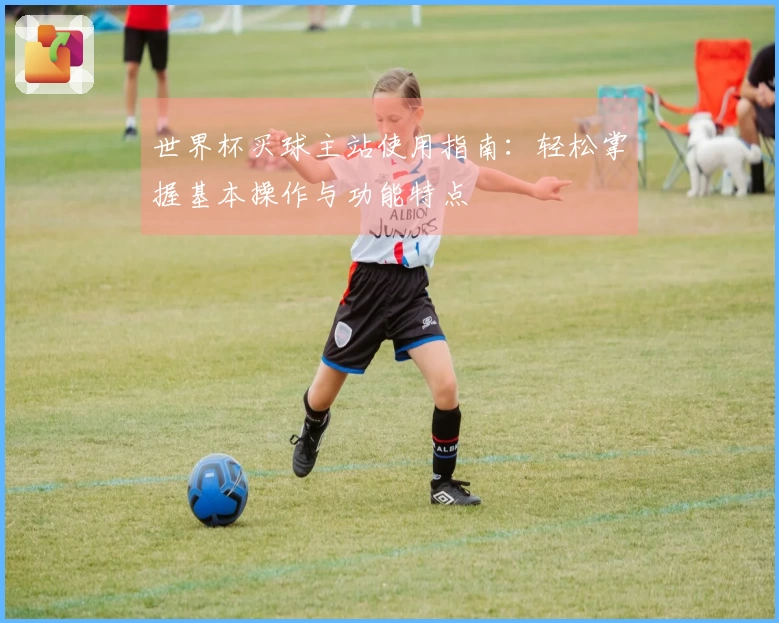 世界杯买球主站使用指南：轻松掌握基本操作与功能特点