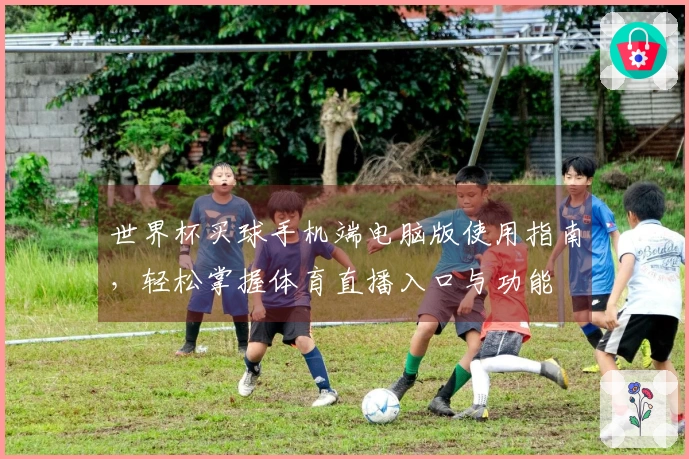 世界杯买球手机端电脑版使用指南，轻松掌握体育直播入口与功能
