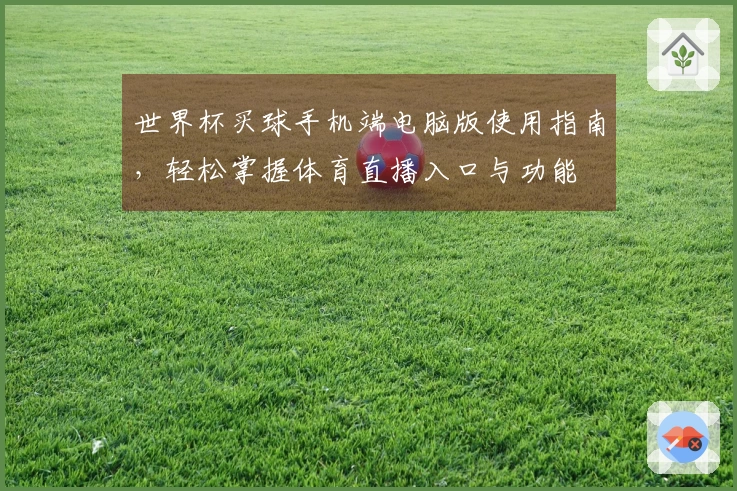 世界杯买球手机端电脑版使用指南，轻松掌握体育直播入口与功能