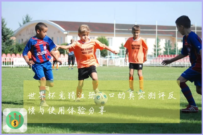 世界杯竞猜注册入口的真实测评反馈与使用体验分享